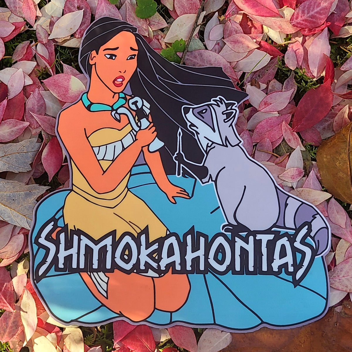 Shmokahontas & Meeko Stoner Crew Raccoon 90s Cartoon Princess Dabs Dab Mat  Moodmat Non Stick Heat Resistant Silicone Mood Mat Weed Pad Marijuana Mat